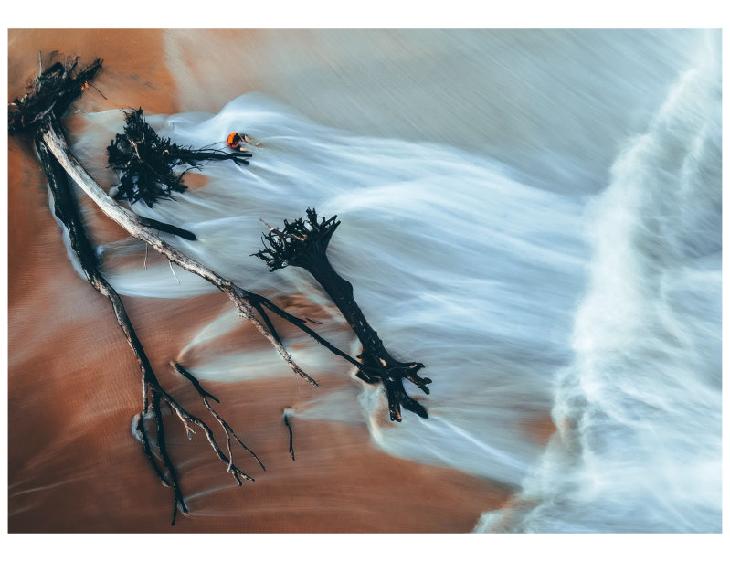 Die dreifache planetarische Krise