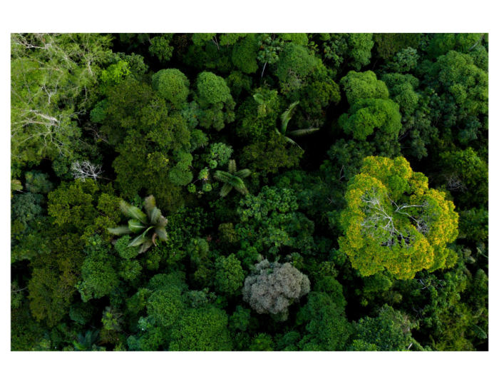 Was ist Biodiversität und warum ist sie wichtig?